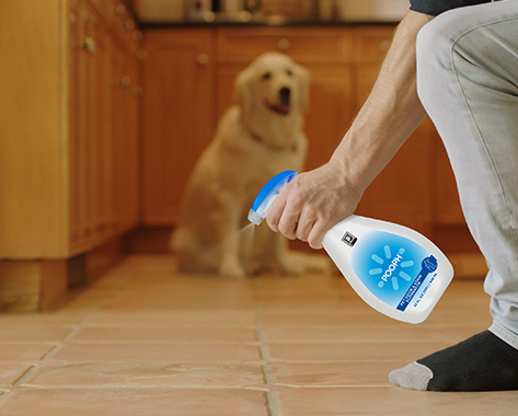 A person spraying Pooph on the kitchen floor while a dog nearby is watching